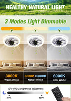2-in-1 Mute Adjustable Fan Light with Remote Control