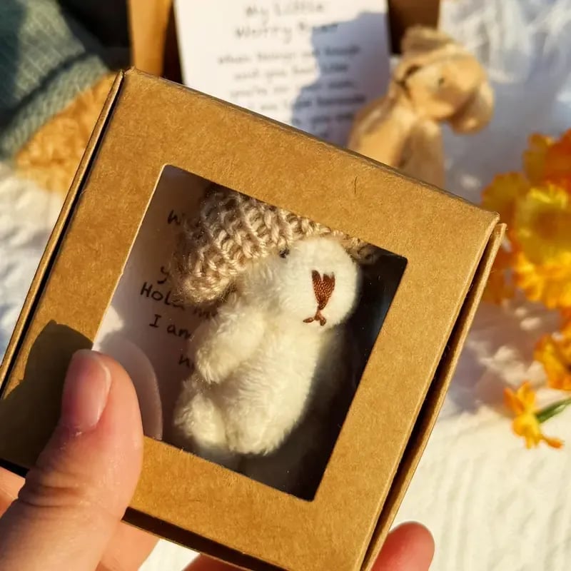 ⏰🎁Handgefertigter Mini-Teddybär in einer Box