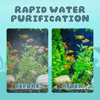 💦Limited Time Half Price-Aquarium Silent Motorized Filter✨