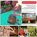 🔥Limited Sale - BUY 1 GET 1 FREE🔥Soil Improvement Loosening Agent（HOT）