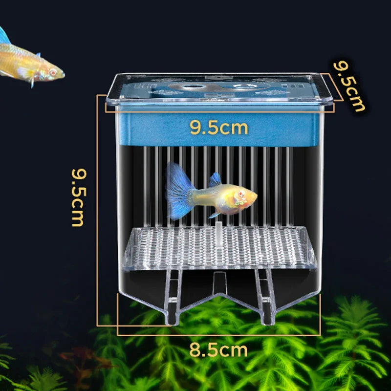 4-Layer Protective Detachable Acrylic Fry Hatching Box