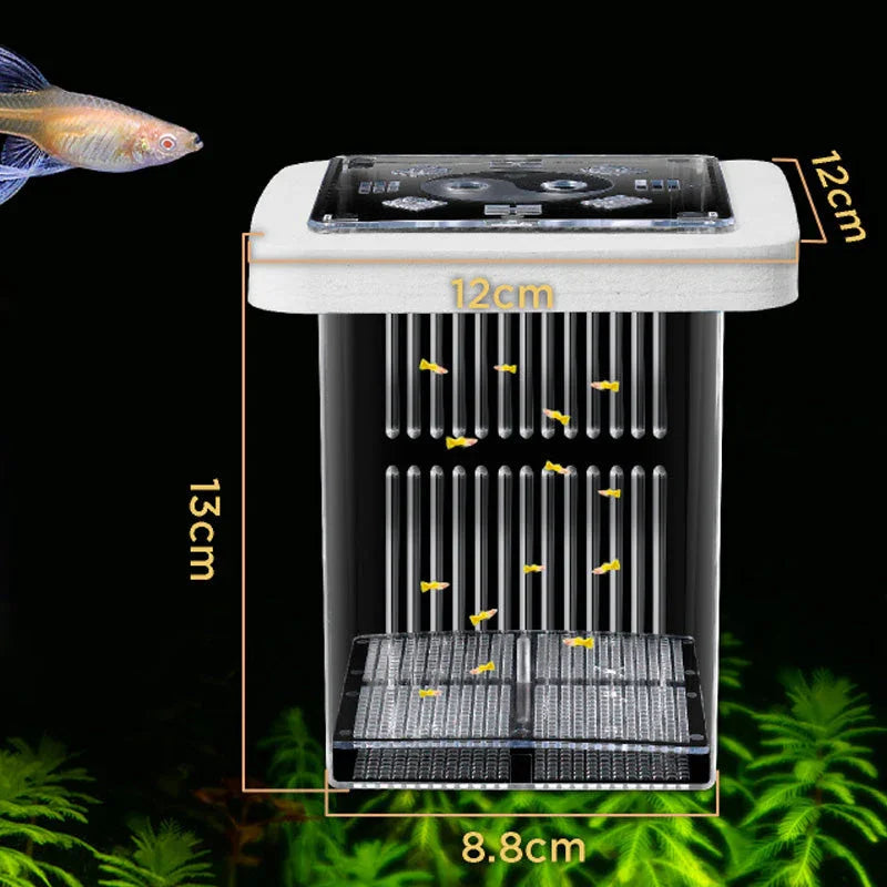 4-Layer Protective Detachable Acrylic Fry Hatching Box