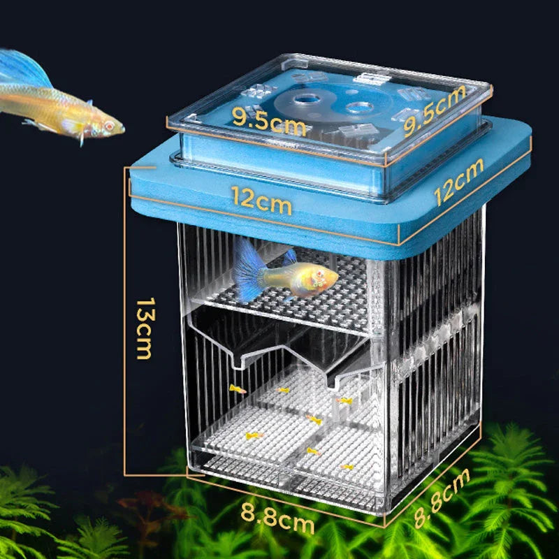 4-Layer Protective Detachable Acrylic Fry Hatching Box