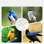 🌟 Shopping Frenzy: Entire Store 50% OFF🔥Pull-Out External Parrot Feeder