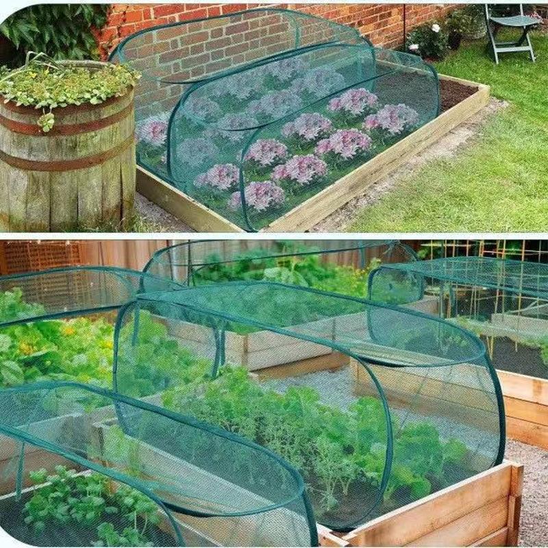 💎 -50% ON FOLDABLE POP-UP PLANT MESH COVER! 💎 Triple-Action Insect, Cold & Sun Protection for Your Garden ✨