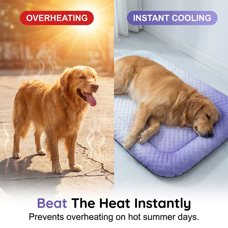 🐶🐱❄️Cooling Gel Mat for Pets Summer Heat Relief Pad Breathable Non-Toxic Cool Sleeping Mat for Dogs Cats